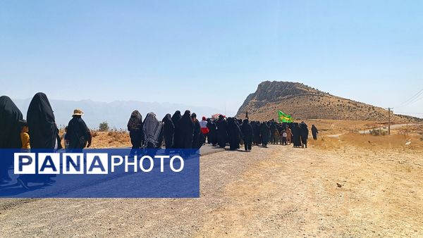 مراسم عزاداری سالروز شهادت امام رضا(ع) در شهرستان مارگون
