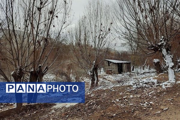 خودنمایی برف در شهر بار نیشابور