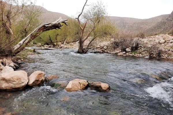 تیره‌باغ مقصدی زیبا برای گردشگران نوروزی در مرودشت