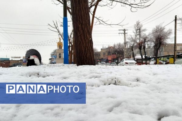 لردگان میزبان اولین برف زمستانی 