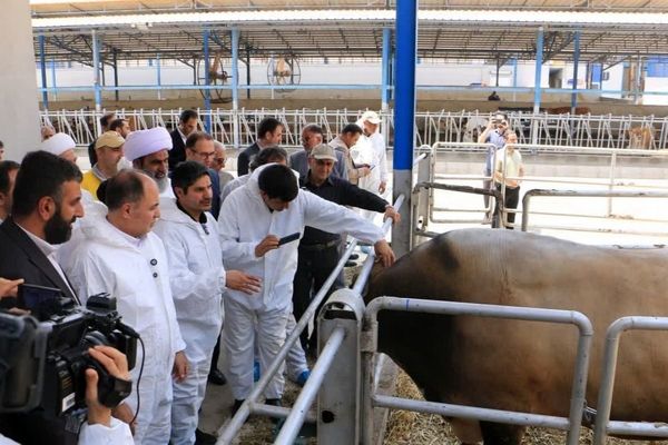 آیین افتتاح شرکت سینا فناوران ماندگار در شهرستان ملارد 