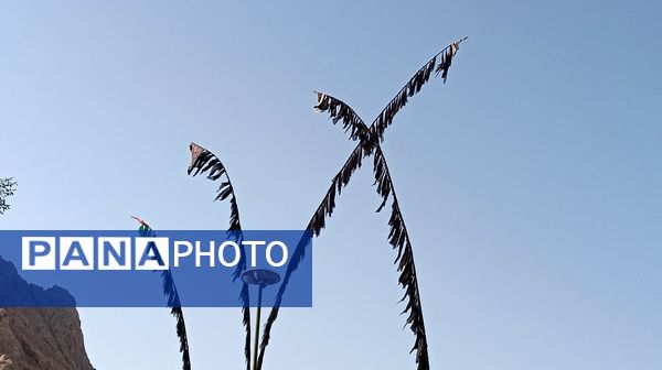 آیین‌های تاسوعا و عاشورای شهر بن 