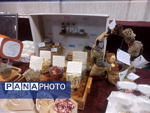 برگزاری نمایشگاه گیاهان دارویی در دبیرستان شاهد شهدای اقتدار ملارد 