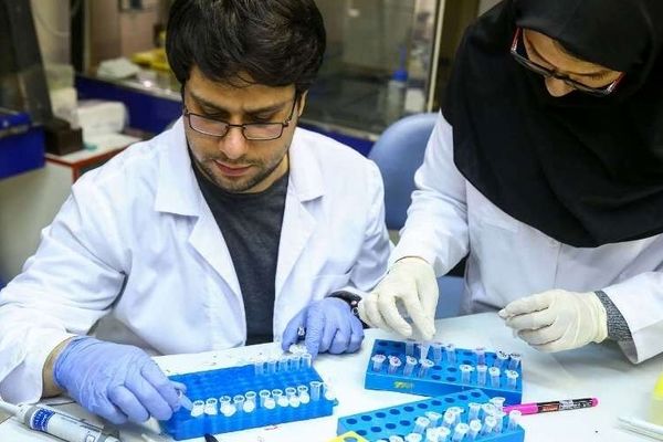 هدف میزبانی ایران از کنگره وانا، تقویت مرجعیت علمی در منطقه است