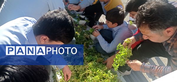 برگزاری طرح مدرسه سبز در دبیرستان استعدادهای درخشان شهید بهشتی دوره اول