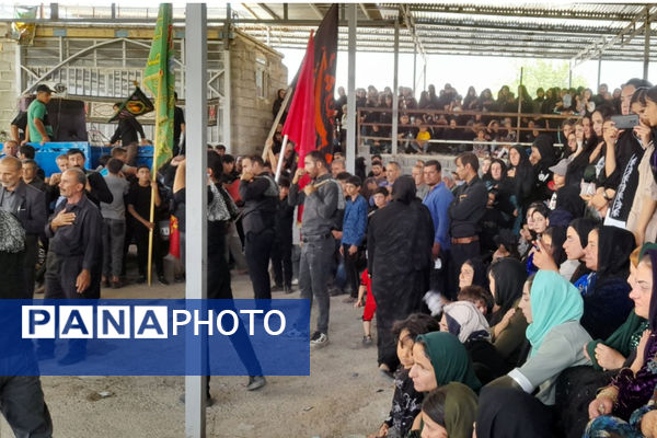امامزادگان میزبان عزاداران محرم 