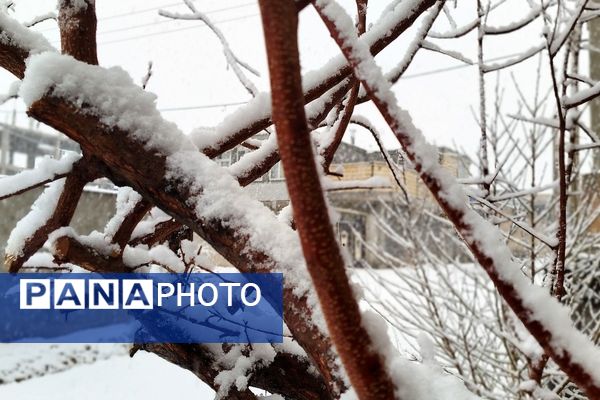 لردگان میزبان اولین برف زمستانی 