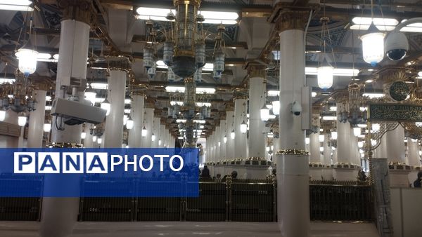 عطر آرامش در آستان پیامبر رحمت