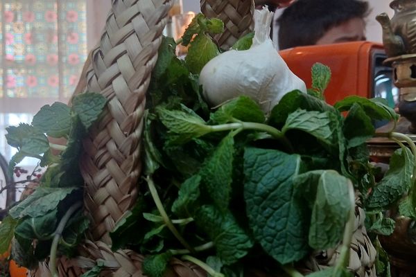 رنگین‌کمان فرهنگ‌ها در دل شهریار؛ جشنواره‌ای با طعم غذاهای محلی و لباس‌های رنگارنگ