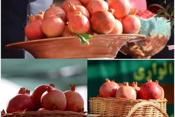 چهارمین جشنواره ملی انار در بخش کوهنانی