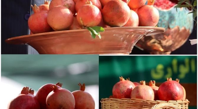 چهارمین جشنواره ملی انار در بخش کوهنانی