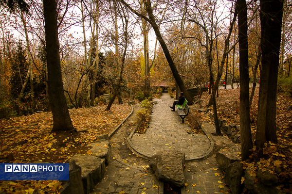 پاییز خیال انگیز در پارک جمشیدیه