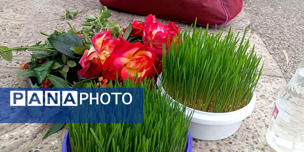 حضور فرهنگیان شهرستان دره‌شهر در مراسم افتتاحیه راهیان نور بسیج فرهنگیان کشور