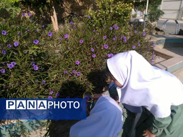 لمس طبیعت با حواس پنج‌گانه، سفری از شناخت تا شکرگزاری در هفته بهداشت روان