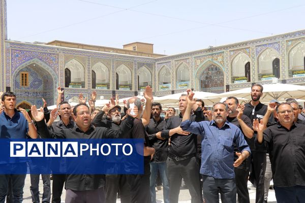 آسمان حرم مطهر رضوی غرق در نوای علمدار نیامد