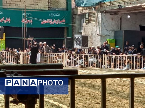 آیین تعزیه خوانی روز ۲۸ صفر با قدمتی ۲۰۰ سال