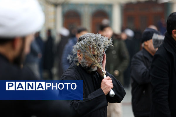 مراسم عزاداری سالروز شهادت امام هادی(ع) در حرم حضرت معصومه(س)