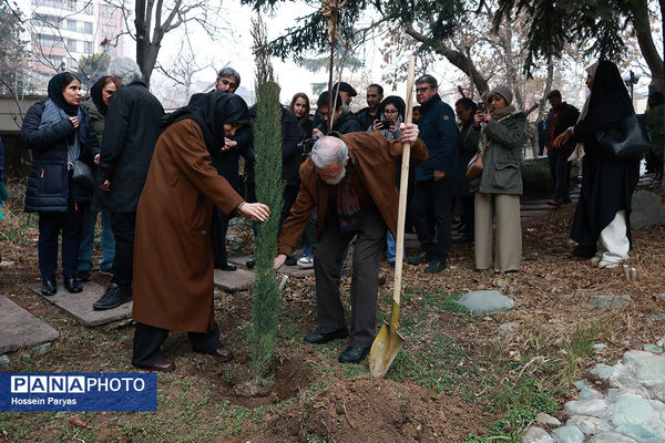  افتتاح هفدهمین جشنواره تجسمی فجر