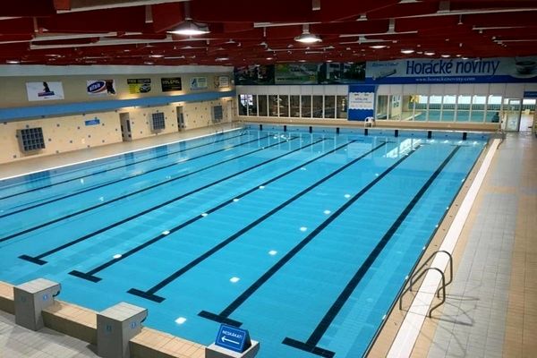 شناگران کشور در خلیج فارس به آب می‌زنند