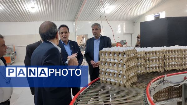 فرماندار کاشمر از نمایشگاه معلولان و مراکز حساس شهرستان بازدید کرد