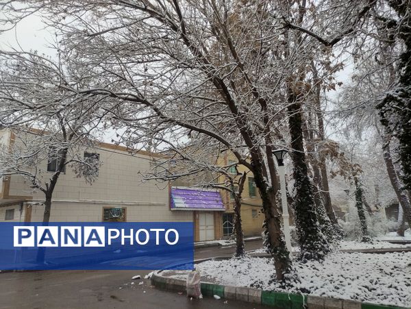بارش برف و سفید پوش شدن شهر زیبای مشهد