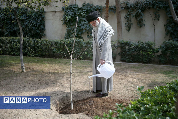 کاشت سه نهال توسط رهبر انقلاب در روز درختکاری