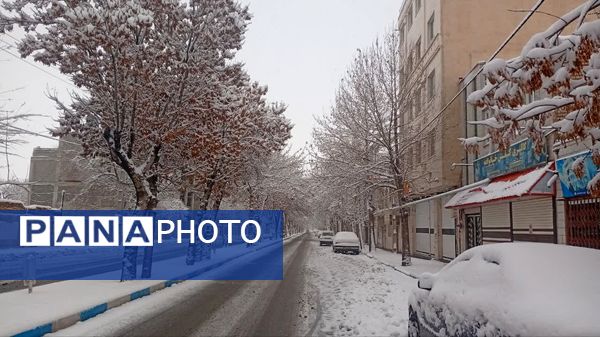 شازند سفیدپوش شد