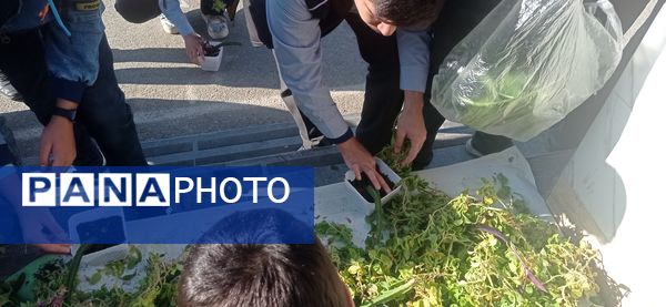 برگزاری طرح مدرسه سبز در دبیرستان استعدادهای درخشان شهید بهشتی دوره اول