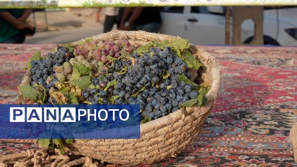 دا، جشنواره‌ای برای نمایش هم‌افزایی فرهنگ و ورزش در روستای کهک تاکستان
