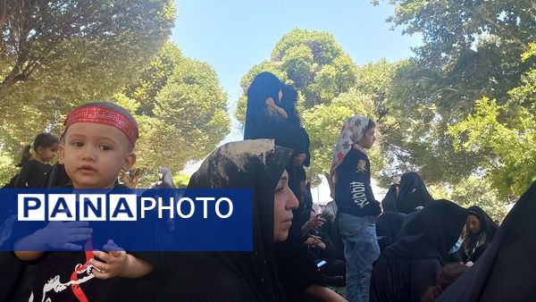 آیین سنتی «گل مالی» در روز عاشورا