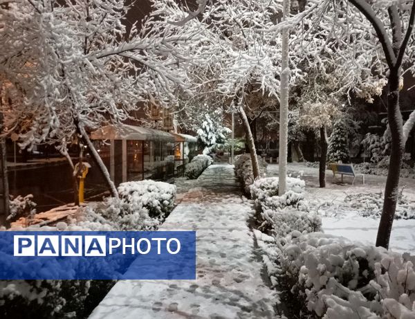 بارش برف در شهر زیبای مشهد 