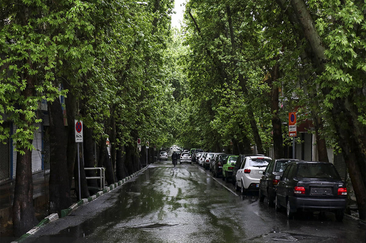تهران فردا هم بارانی است