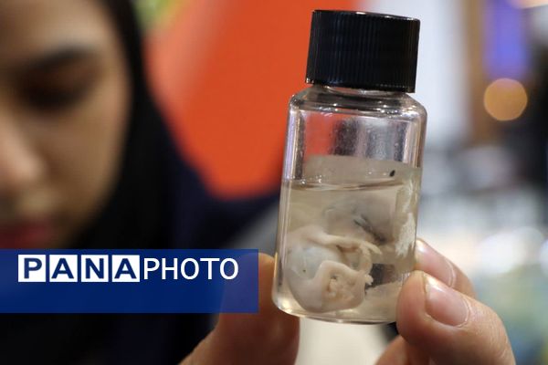 دوازدهمین نمایشگاه دستاوردهای پژوهش، فناوری و فن‌بازار در یزد آغاز به کار کرد