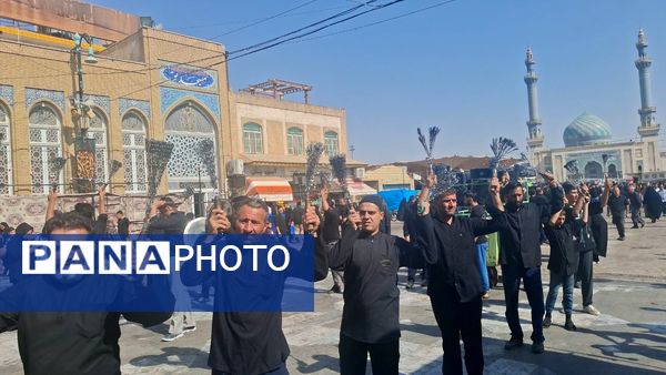 روایت اشک و ارادت عاشقان در سوگ وفات حضرت معصومه(س)
