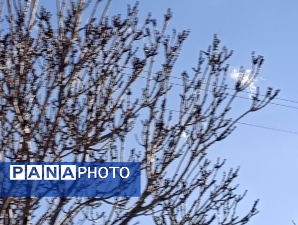 برف زمستانی مهمان شهرستان کیار شد