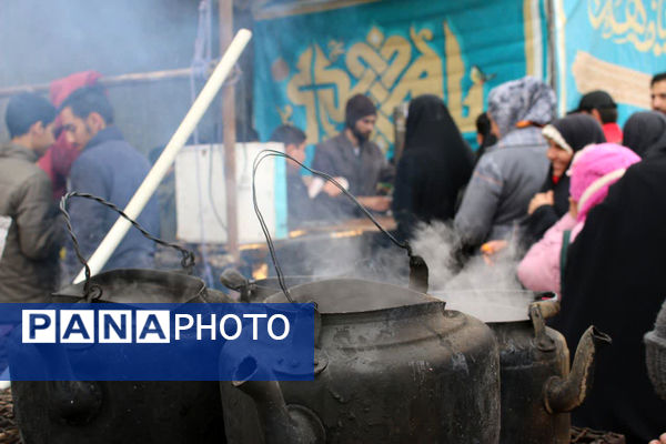 جلوه های حضور خادمان نوجوان در شادپیمایی مسجد جمکران