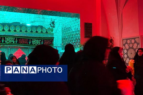 پیشوا در سوگ؛ سالروز شهادت امامزاده جعفر(ع)، ملجأ و پناه مردم دیار کهن