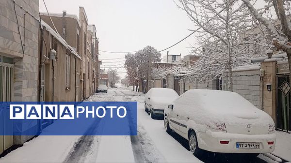 شازند سفیدپوش شد