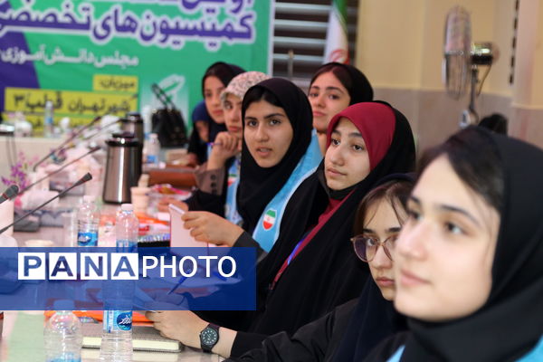 برگزاری اولین نشست قطبی کمیسیون‌های تخصصی دوازدهمین مجلس دانش‌آموزی کشور در تهران