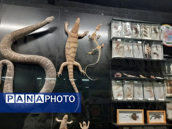 بازدید از پارک علمی تفریحی پروفسور بازیما مشهد