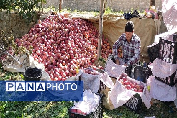 فصل زیبای پاییز در شهر بار نیشابور 