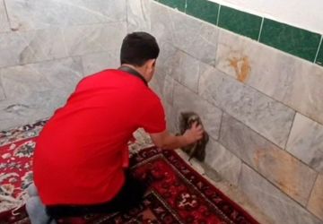 غبارروبی مسجد جواد الائمه روستای ارغا در آستانه ماه مبارک رمضان