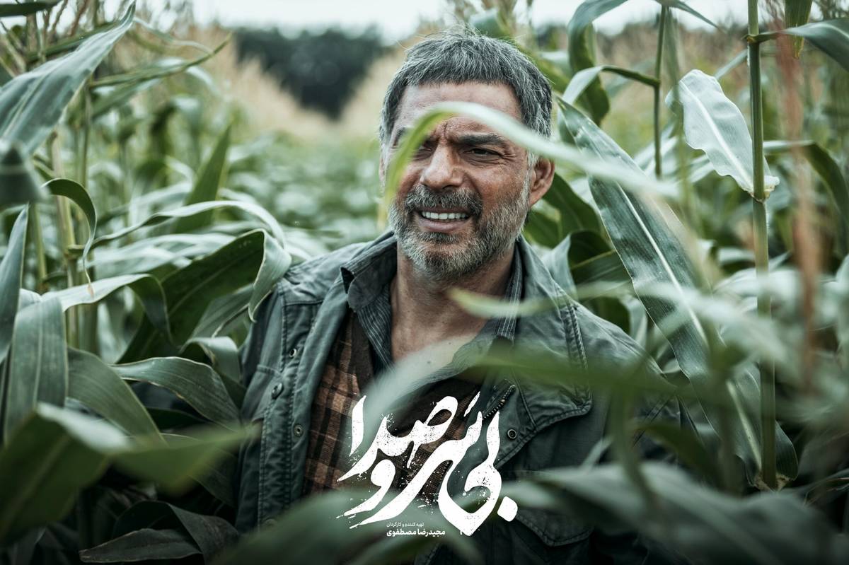 بی سرو صدا؛ تصویری از خشونت پنهان در جامعه!
