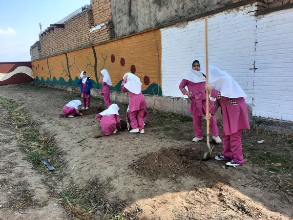 مراسم کاشت نهال در دبستان سید قطب رادکان 