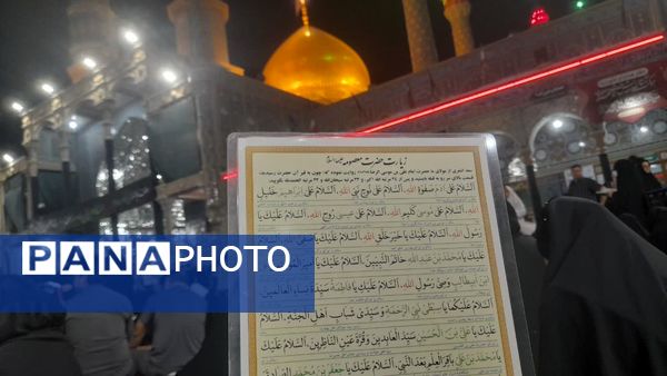 حرم حضرت معصومه(س) در شب شهادت برادر