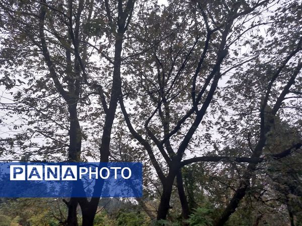 کردکوی، سرسبزترین شهرستان گلستان