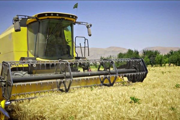 شازند؛ روایت پایداری در عصر فرسایش خاک و فراموشی آب