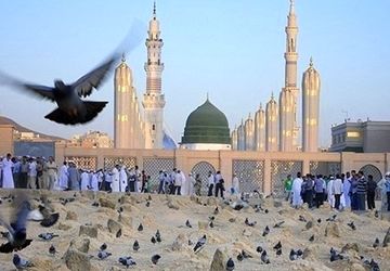 دکلمه‌خوانی خبرنگار پانا به مناسبت ولادت امام حسن مجتبی(ع)