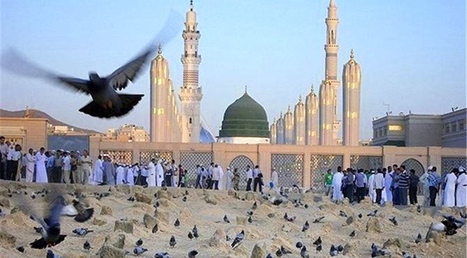 دکلمه‌خوانی خبرنگار پانا به مناسبت ولادت امام حسن مجتبی(ع)