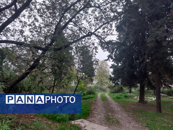 کردکوی، سرسبزترین شهرستان گلستان